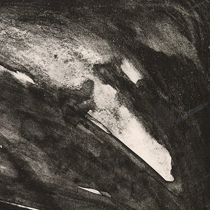 YOU THOUGHT I WAS MEAN BUT TRUTHFULLY, I'M ONLY A PARRHESIASTES - original